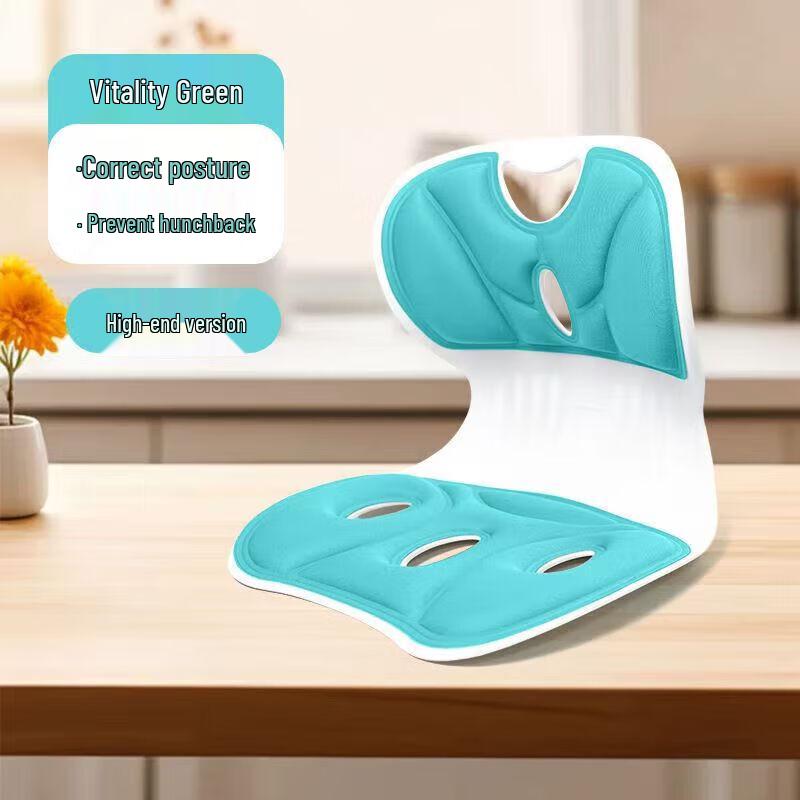 Misida Ergonomic Lumbar Support Seat Cushion