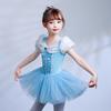 Cinderella Princess Ballet Costume - Girls' Fairy Tale Leotard with Tulle Skirt