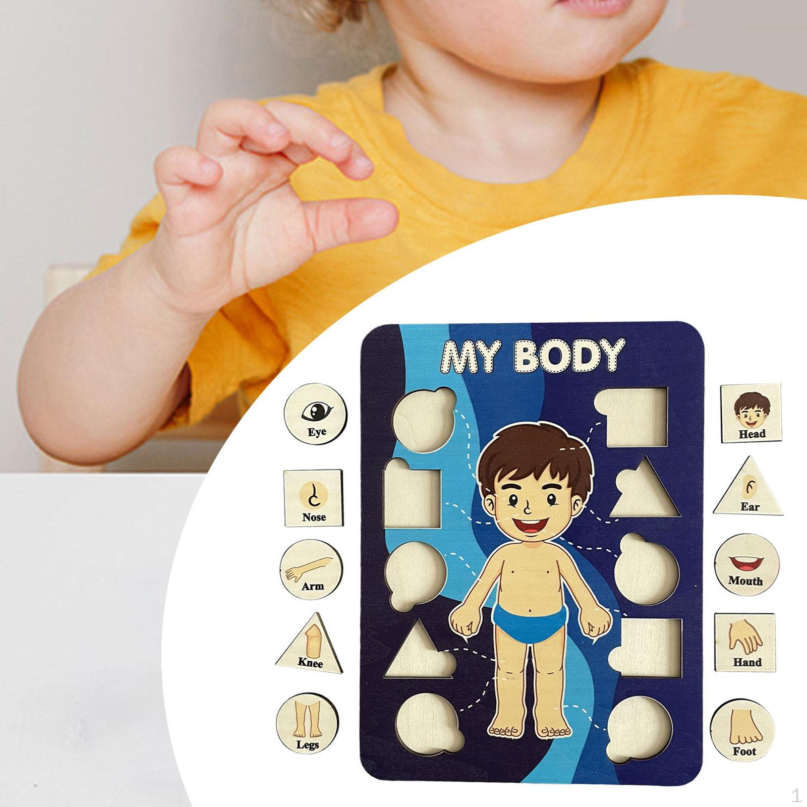 Body Puzzle for Children Wooden Children s Toy Shape Sorter Human styles A