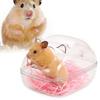 Multipurpose Pet  Transparent  Bathroom Cartoon Shape Detachable Anti-splash Observation Bathtub Toilet For Hamster Small Animals