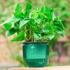 Hanging Self Watering Planter Flowerpot with Water Reservoir Wick Ropes Modern Plant Pot with Hanging Chain for Indoor Plants Ivy Spider Plants