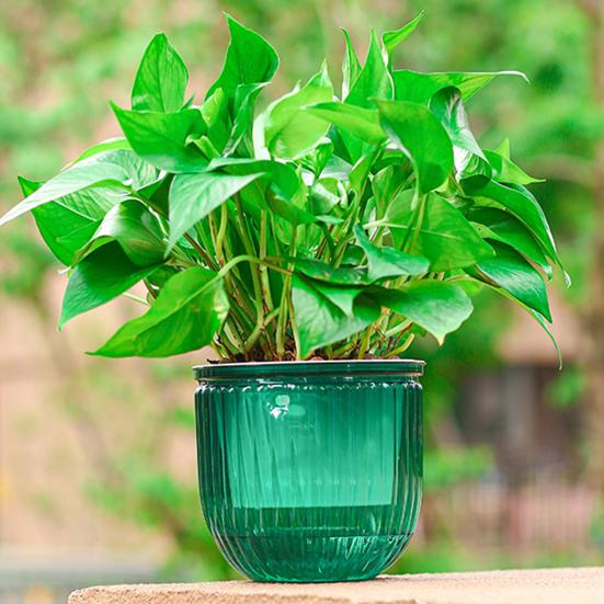 Hanging Self Watering Planter Flowerpot with Water Reservoir Wick Ropes Modern Plant Pot with Hanging Chain for Indoor Plants Ivy Spider Plants