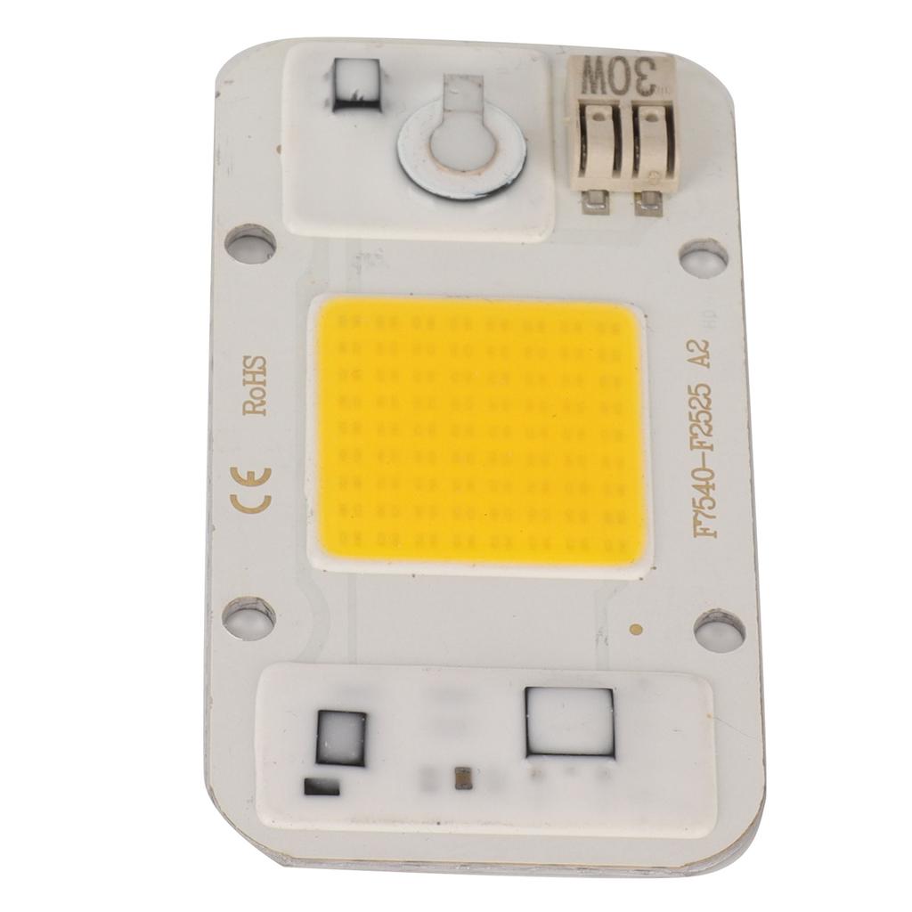 220V High Pressure Free Drive Light Source 30W LED Chip Integrated Lamp Bead for Plant Growth Light