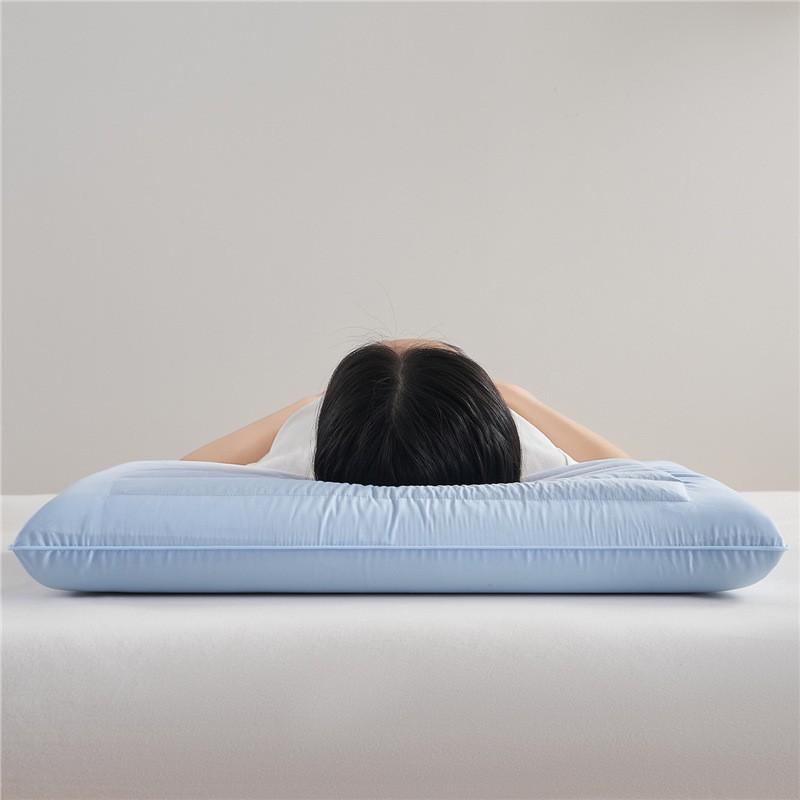 Memory Foam Buckwheat Pillow Neck Support Sleep Aid Low Profile Single Bed With Cotton Cover