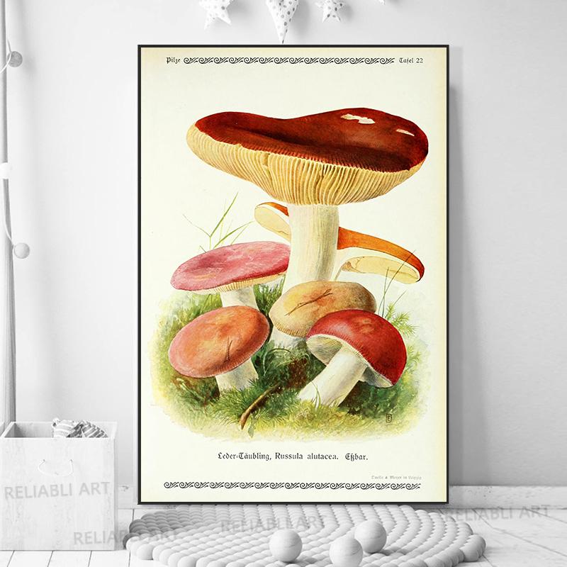 Vintage Mushroom Exemen Malba na plátně Starožitné umění na zeď Bylinné obrazy Vědecké plakáty a grafiky Dekor domácí kanceláře Cuadros
