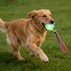 Interactively Pet Ball Flashing Rolling Jumping Waterproof Dog Chew Toy Ball for Aggressive Chewers