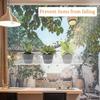 Fenster-Pflanzenregal Innen 2 Stück Klar Saugnapf-Pflanzenhalter Pflanzenständer Wandmontage Für Zuhause Wohnung Naturliebhaber