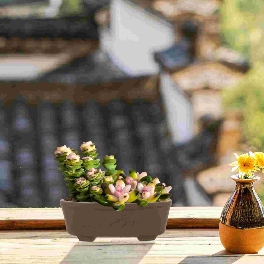 Flower Pot Purple Sand Stoneware Clay Succulent Bowl Small Planters Terracotta Bonsai Pots Desktop Planter Vintage Style