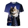 New 3D Animal Cat Pattern Printed Boys' Casual Crew Neck Harajuku Style T-Shirt Summer Street Style Lightweight Top