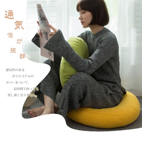 AYO Floor Cushions, Set of 2, Round, Tatami Chair Pads with Covers, Dobby Texture, Washable, Stylish, Natural, Nordic, Simple Design, for Chairs, Japa