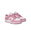 Nike Dunk Low Next Nature Sneakers