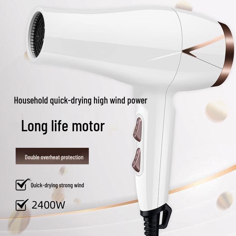 LISM High-Power Hair Dryer