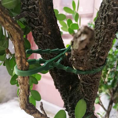 100 Pcs Reusable Plant Ties Adjustable Plant Twist Ties Self-locking Cable Ties for Indoor Outdoor Climbing Plants Cables Organization