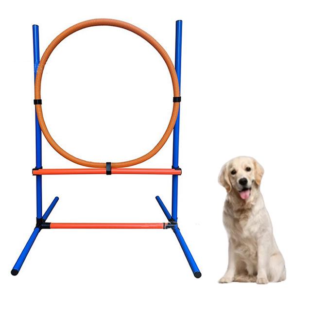 Dog Agility Training Set: Jump Ring, Hurdles, Tunnel & Climbing Accessories