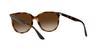 RB4378F Pinkish Brown Gradient Size 54 Ray-Ban Sunglasses, Transparent/Brown Lens,