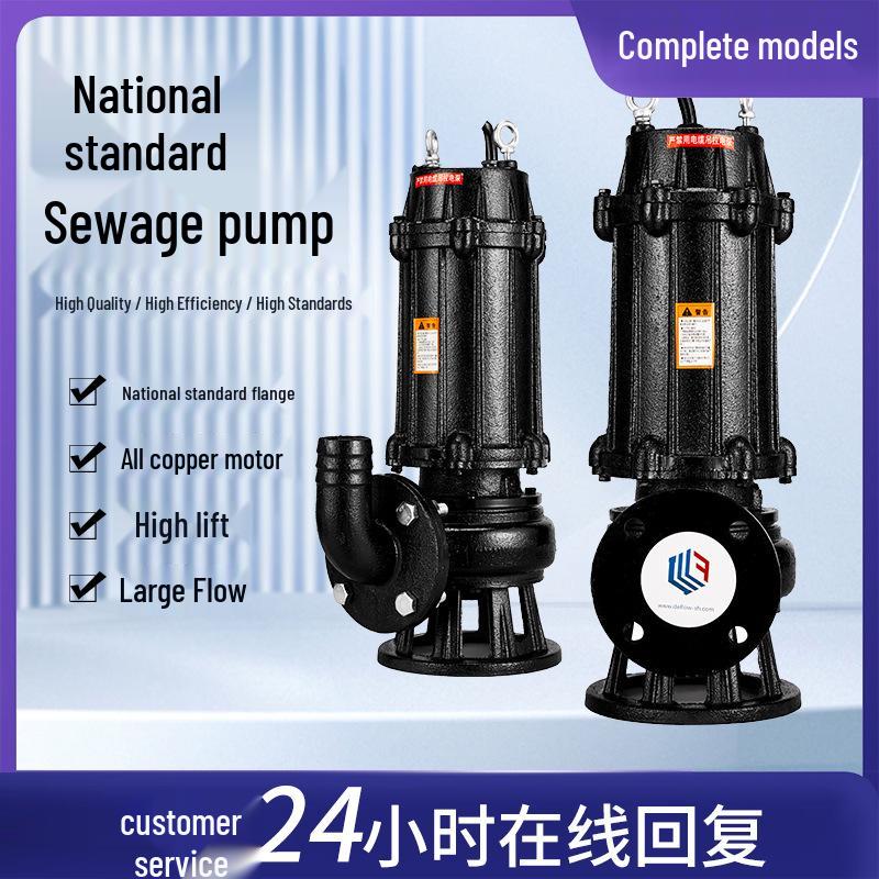 Large Non-Clog Submersible Sewage Pump with High Head and Large Flow