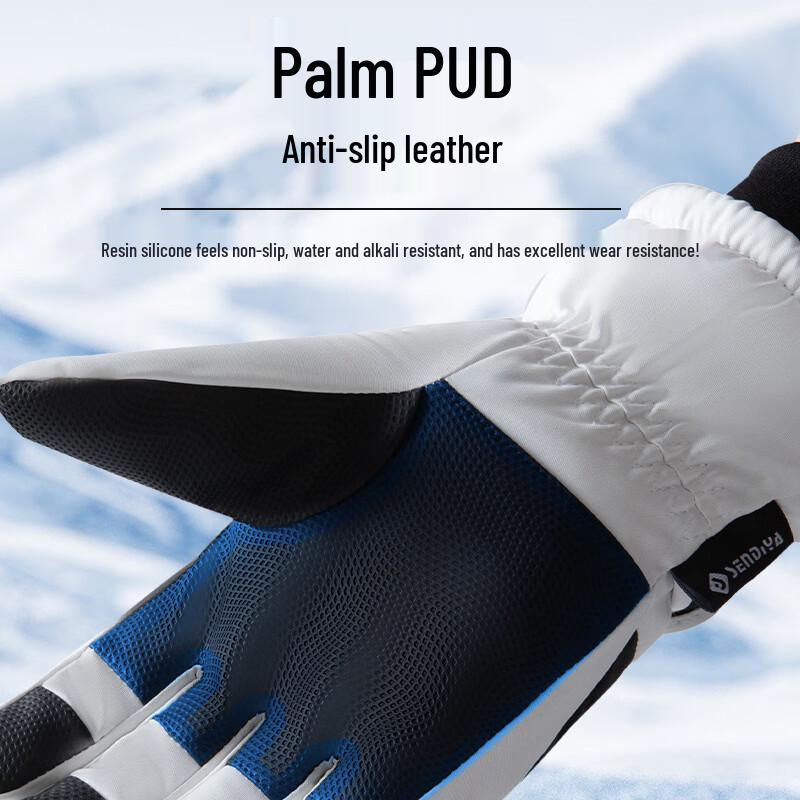 Ski and Cold Weather Gloves