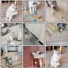 3pcs Mix Feather Teasing Cat Stick Elastic Mesh Tube With Feathered Furry Ball Cat Toy Rod Kitten Interactive Toys Pet Wand