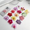 Support de prise en main en acrylique pour orchidée Cymbidium Support de téléphone personnalisé Anneau pliable Support de téléphone Style populaire Célébrité d'Internet