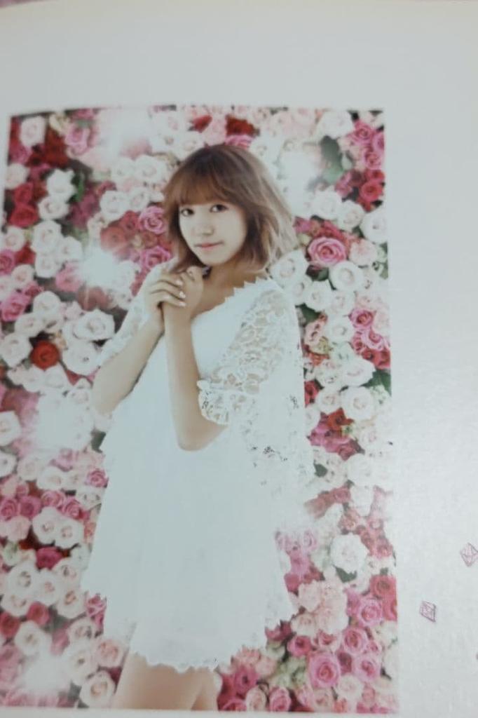 [USED] Apink Secret Garden BEST ALBUM CD DVD