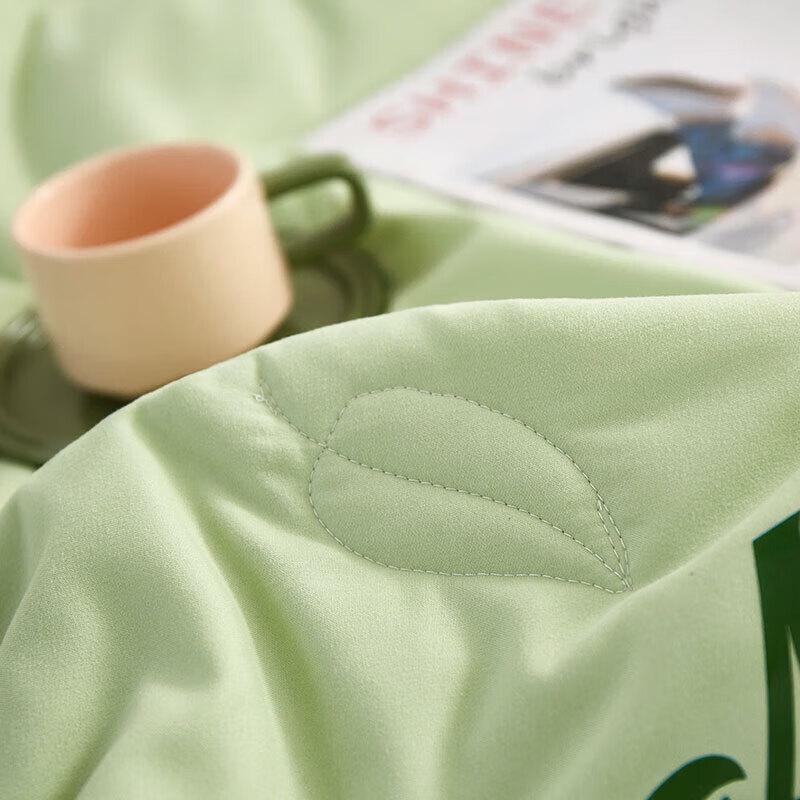 Tangna TN-SQ23033 Aloe Vera Beauty Quilt 4-Piece Bedding Set