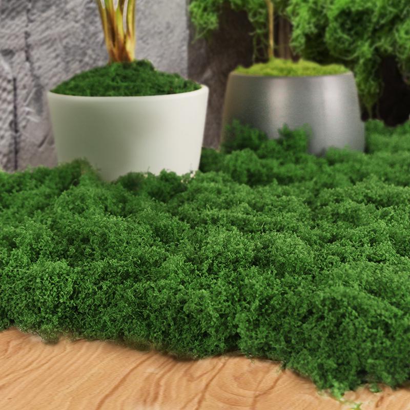 Artificial Green Moss Turf for Indoor Landscape Decoration and Micro-Landscapes