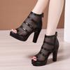 Fashion High-heeled thick-heeled sandals for women 2025 summer new versatile mesh fish-mouth shoes waterproof platform hollow Roman