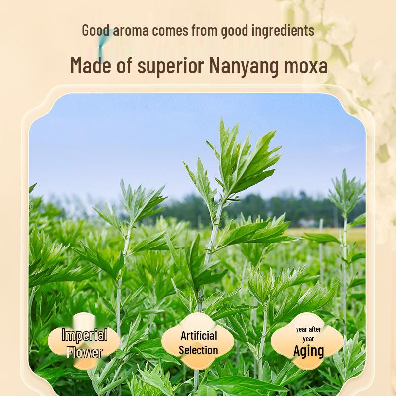 Mugwort Herbal Aromatherapy Stick: Indoor Mosquito-Repellent Incense for Bedroom, Office, Bathroom.