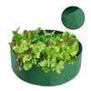 Plants Growing Bag Container Raised Plant Bed Garden Flower Planter Elevated Vegetable Box Planting Grow Bag