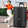 SOAIY 15-Inch Portable Bluetooth Karaoke Trolley Speaker with Dual Mics