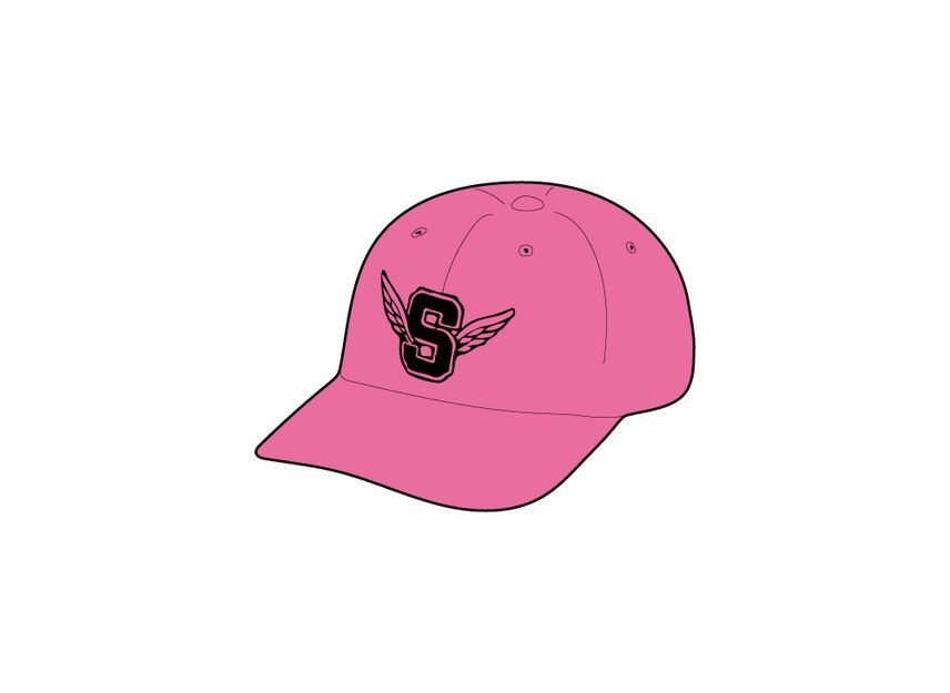 Supreme Wings Logo 6-Panel Pink One-Size