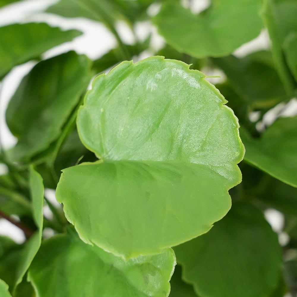 Artificial Eucalyptus Stems Faux Ecualyptus Leaves Money Leaf Fake Greenery Stems Plants for Home Wedding Party Farmhouse Decor