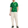 Nike Soccer Jerseys Men's Green Moderate HM5716-302