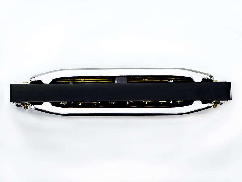 HOHNER SPECIAL 20B Special 20 10-hole Harmonica