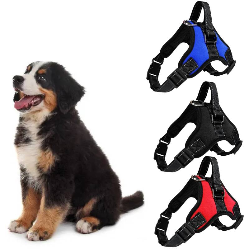 Soft Padded Adjustable Dog Vest Harnesses Chest Strap Outdoor Training Walking