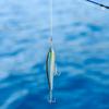 Sinking Pencil Fish Lure Hard Bait 3D Eyes with Hook Split Ring Fishing Tackle004