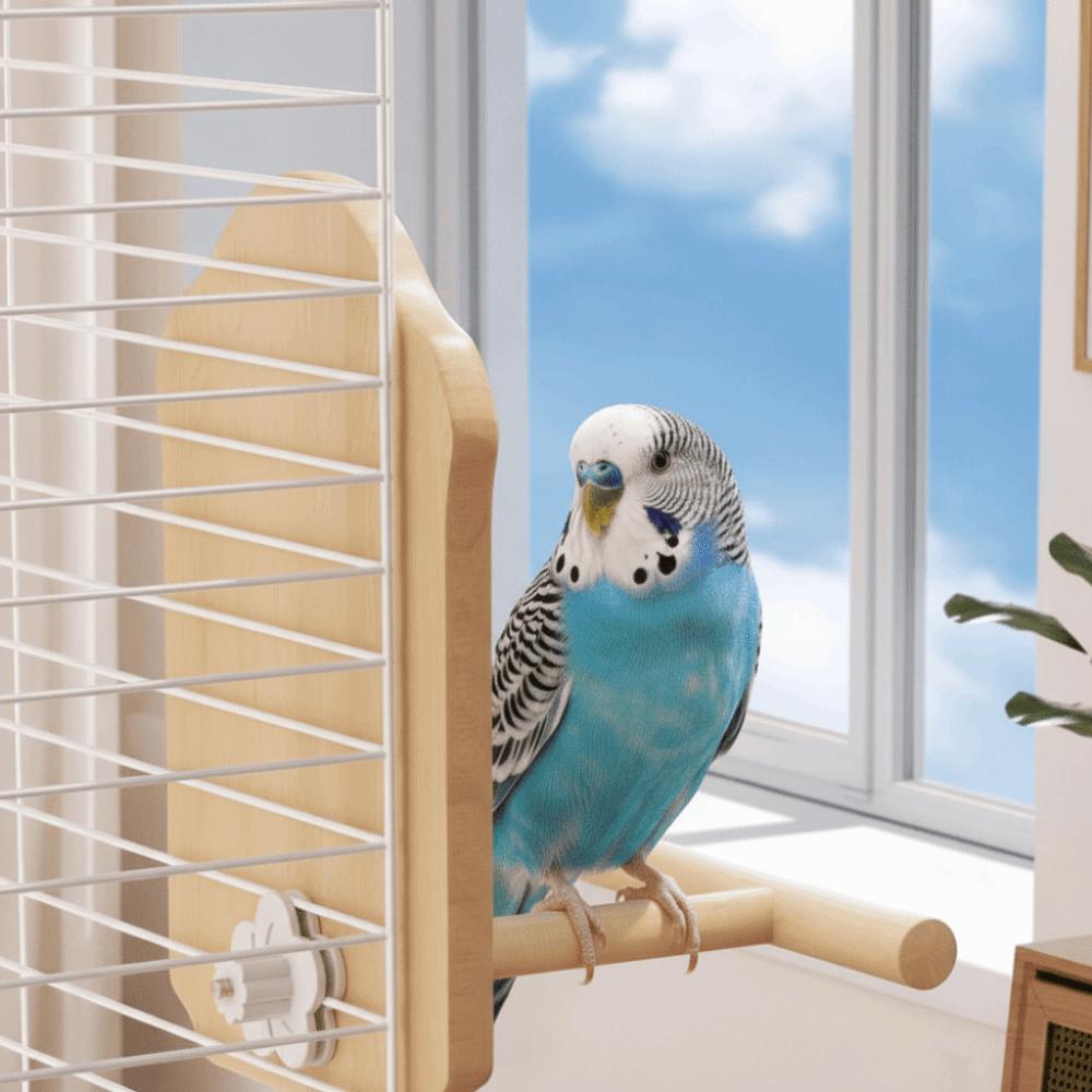 Wear-Resisting Bird Mirror Perch Bite-Resistance Parrot Platform Stand Parrot Mirror Toy Playing