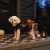 Pet Dog Dress Costume Halloween Christmas Festival Party Pumpkin Witch Princess Style Cotton Winter