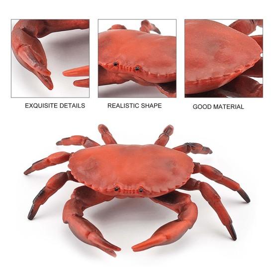 Simulation Animal Model Vivid Intelligence Development Solid Aquarium Miniature Crab Cognition Education Toy for Home