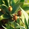 3Pcs Rusty Flower Shape Metal Flower Pot Decorative Stakes Freestanding Outdoor Garden Decoration for Balcony Courtyards