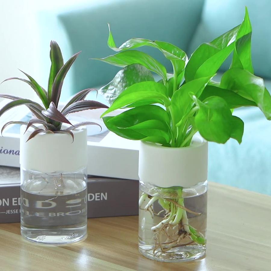 Hydroponic Nursery Pots Kit Seedling Plastic Plant Pot Gardening Accessories Garden Pots/pots Clear Plants Seeds Orchids System