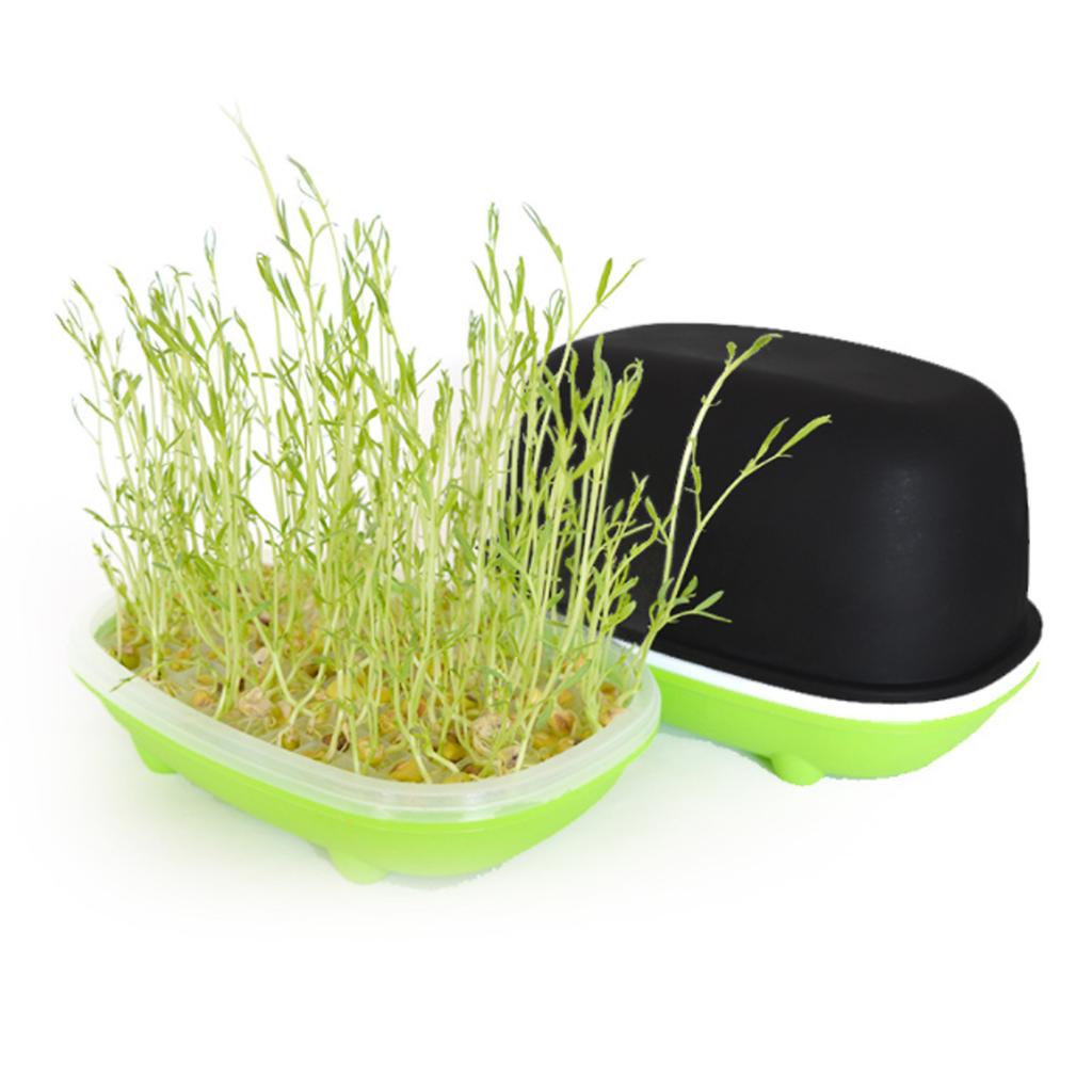 Hydroponische Keimbox für Erdnüsse, Bohnen, Erbsen, Weizensämlinge, Keimschale, Katzengras, Keimung, erdloser Pflanztopf