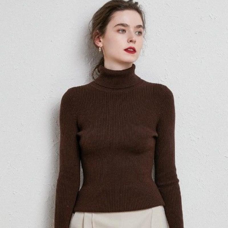 High Collar Sweater Women Solid Fit Knitted Undercoat 2022 New Autumn and Winter Casual Solid Short Long Sleeve Sweater Pullover