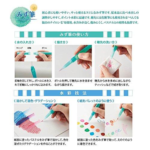 PENTEL GHW1-24 Watercolor Pass Vistage 24 Colors W