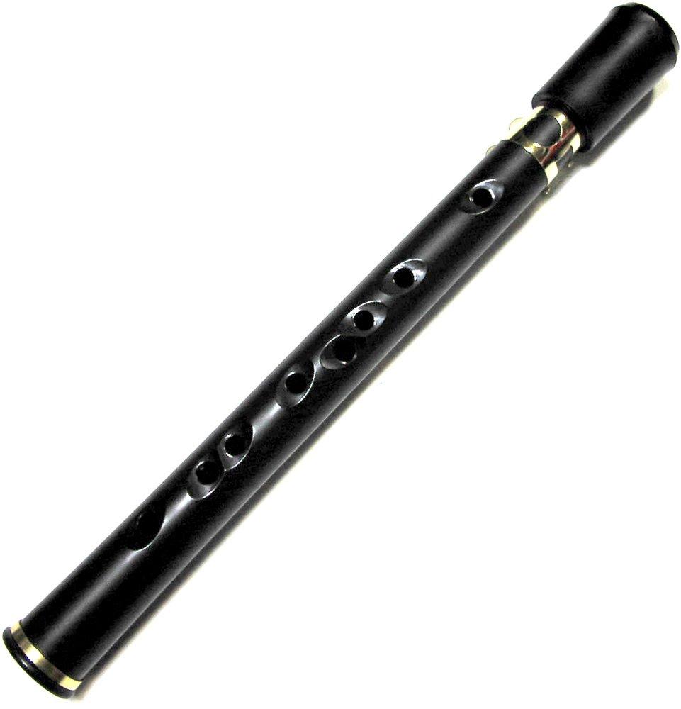 

Xaphoon ABS resin saxophone POCKET SAX Black []