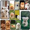 Cover for OPPO A40 A80 A60 A38 A79 A15 A16 A17 A18 A58 A78 A57 A53 A40M 4G 5G Phone Case Bichon Frise Pomeranian Poodle Dog