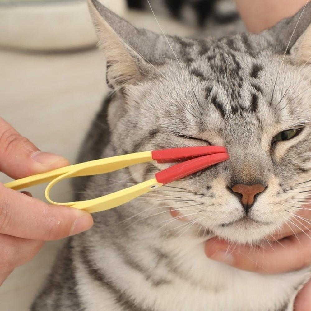 Cleaning Clip Eye Excrement Brush Soft Brush Pet Eye Cleaner New Pet Tear Marks Brush Cat