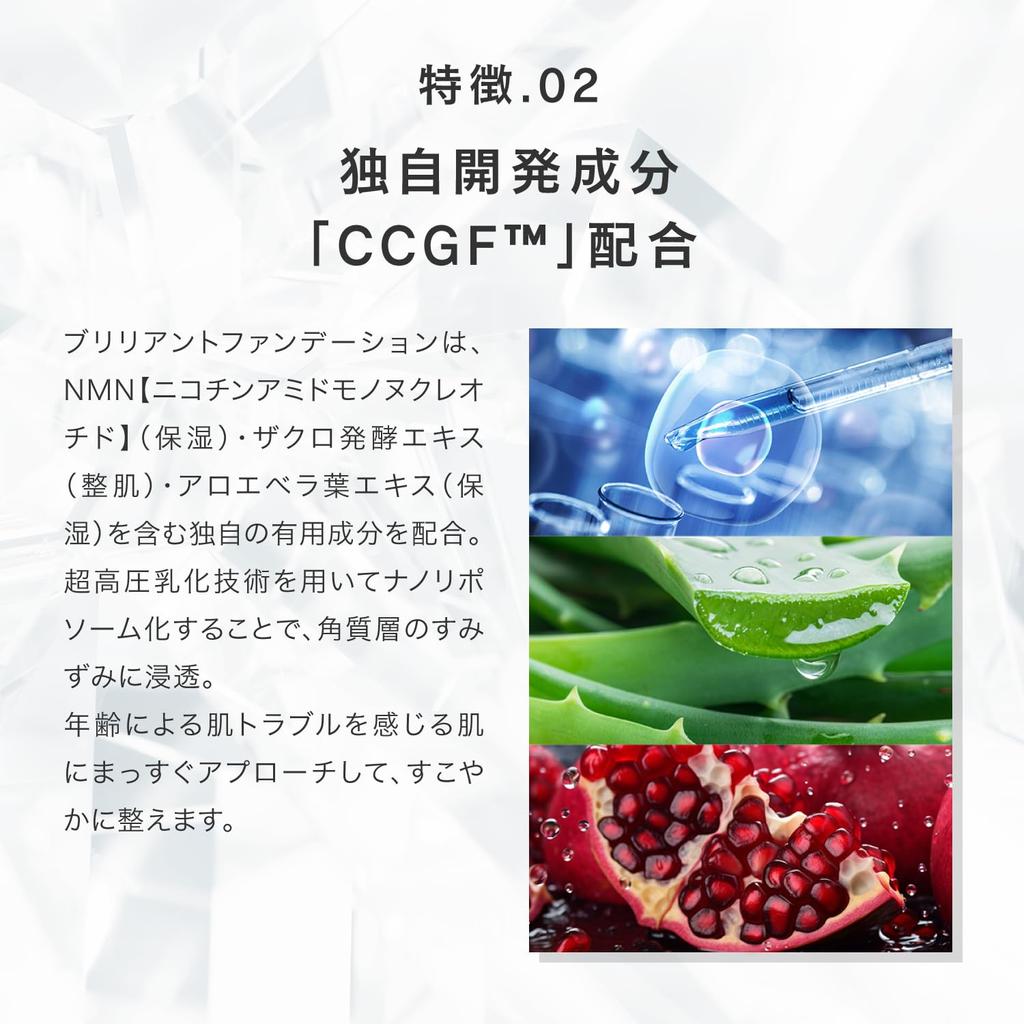 SPICARE V3 Brilliant Foundation 15g