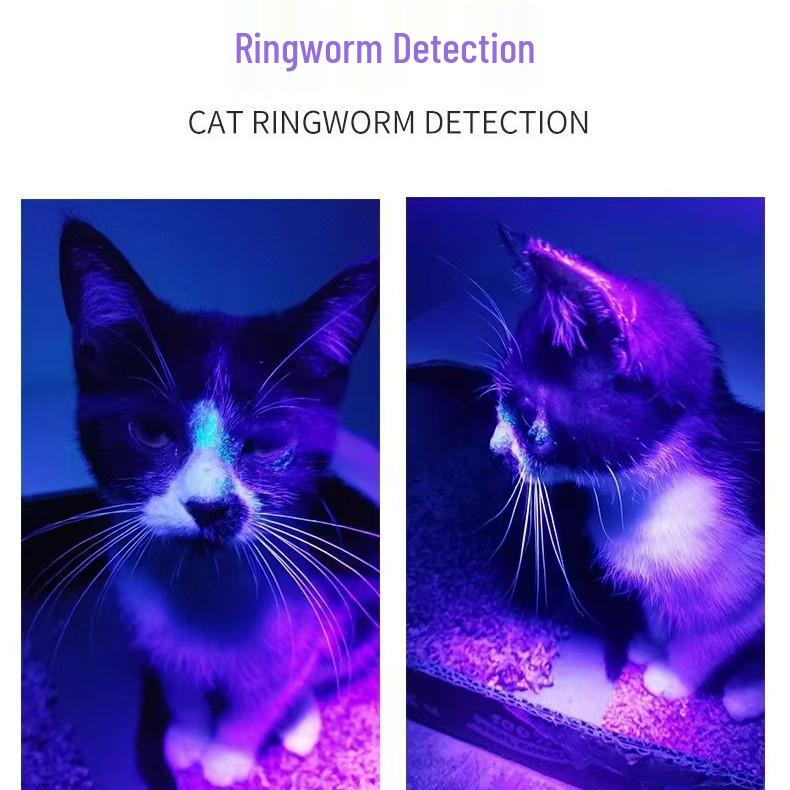 Portable Ultraviolet Flashlight for Fluorescent Detection