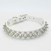 Dog Collar Anti-Bite Rivets Pet Collar Medium Large Bulldog Dog Chain French Bulldog Collar